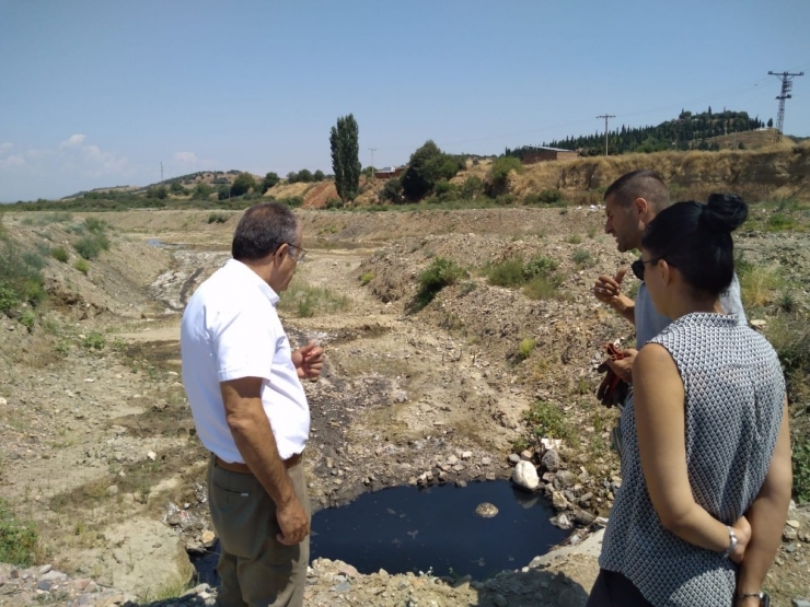 Turgutlu Ve Salihli’de Haşereyle Mücadele Devam Ediyor