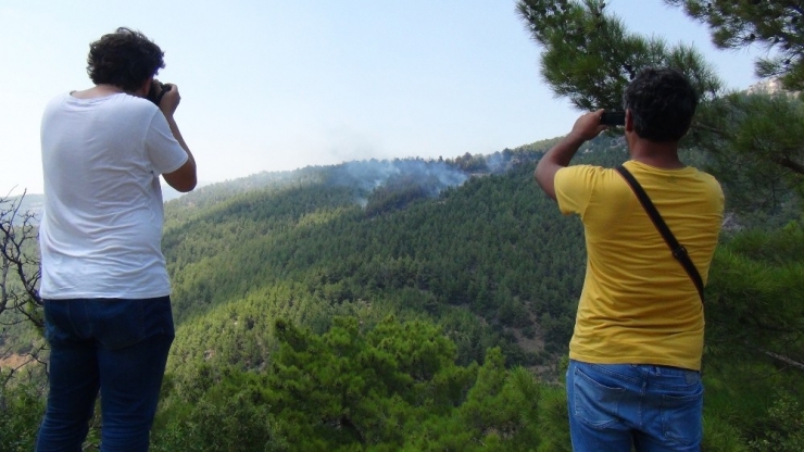Mersin’de Orman Yangını