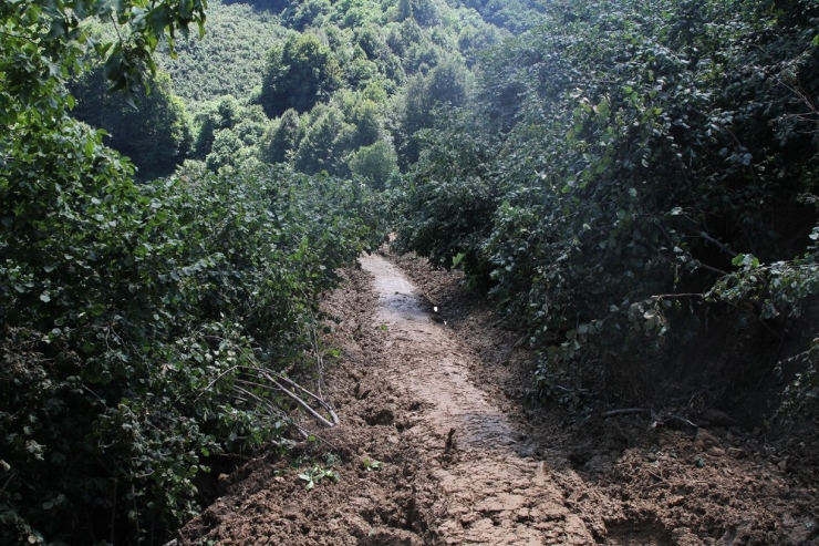 Kocaali’de 12 Mahalleye Asfalt