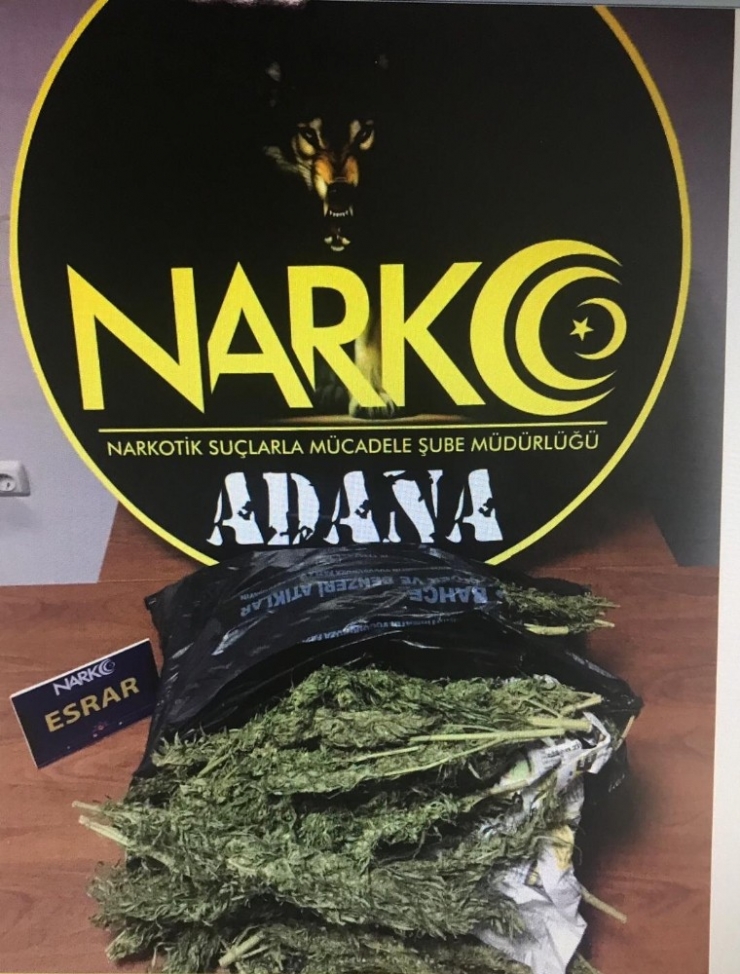 Adana’da 5 Torbacı Tutuklandı