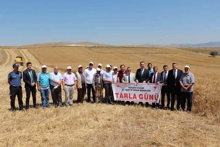 Altıntaş’ta "Reyis Ve Mesut" İsimli Yeni Buğday Çeşitleri Tanıtıldı