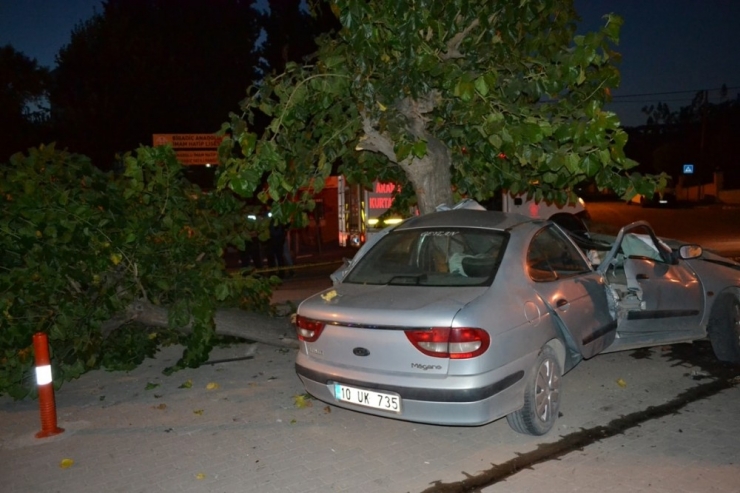Balıkesir’de Otomobil Ağaca Çarptı: 1 Ölü