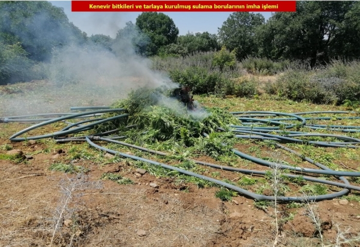 Diyarbakır’da Pkk Terör Örgütünün Finans Kaynağına Dev Operasyon