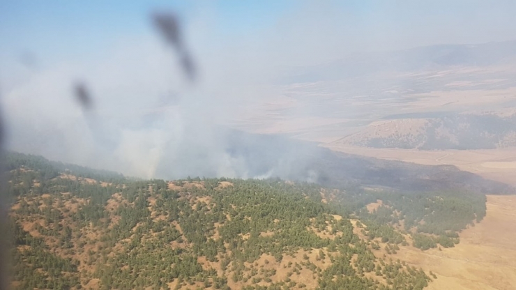 Gaziantep’te Orman Yangını