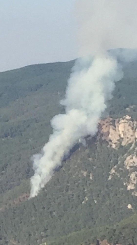 İzmir’de Orman Yangını