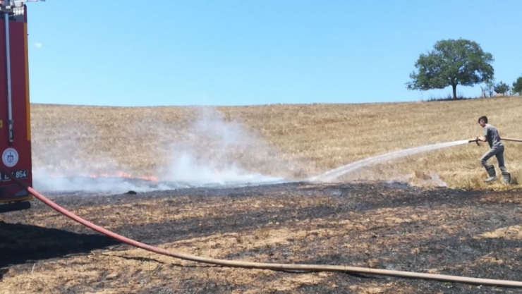 Tarlada Yakılan Anız 300 Dönümlük Alana Yayıldı