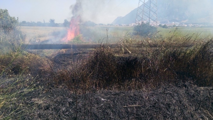 Manisa’da Ot Yangını Korkuttu