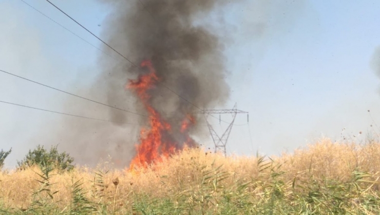 Manisa’da Ot Yangını Korkuttu