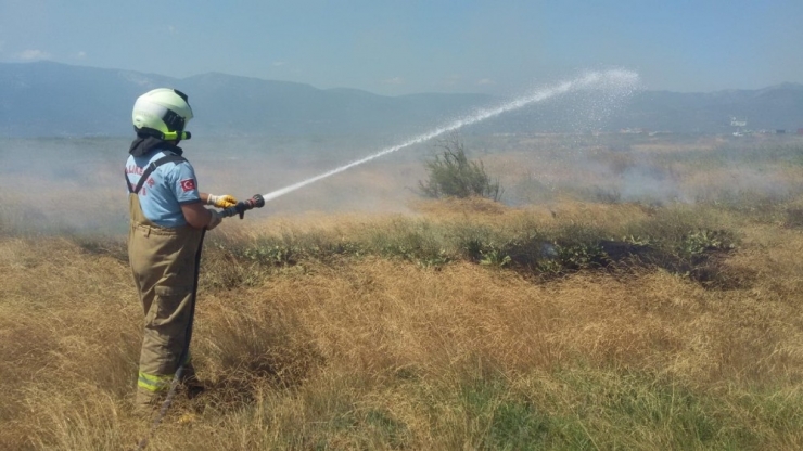 Burhaniye’de Yazlık Sitedeki Ot Yangını Korkuttu