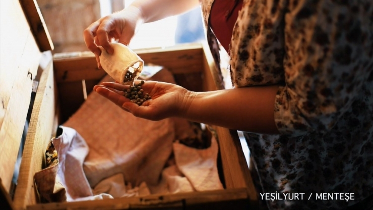 Muğla’nın Yerel Tohumuna Yerli Kısa Film