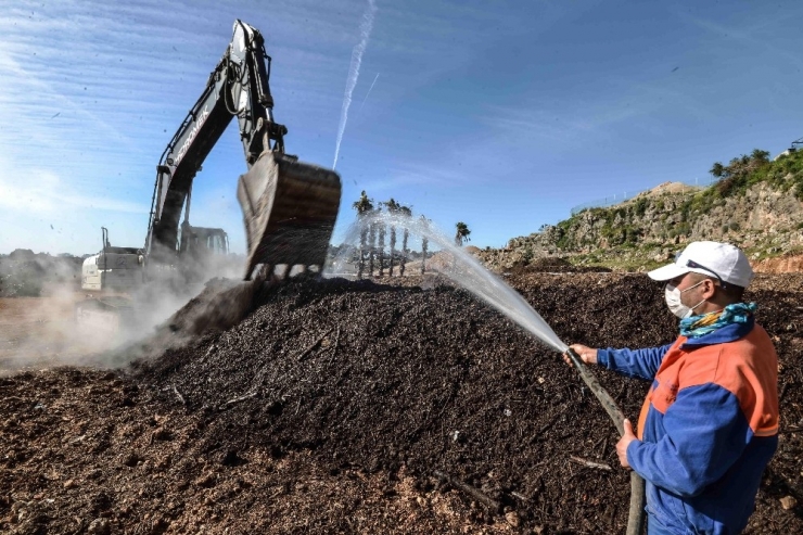 Muratpaşa Belediyesi, Dal Atıklarını Kompost Gübreye Çeviriyor