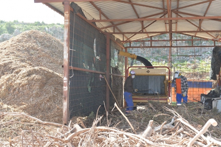 Muratpaşa Belediyesi, Dal Atıklarını Kompost Gübreye Çeviriyor