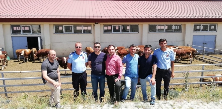 Kestel Ve Develi Tarım Ve Orman İl Heyeti Narman’da Buluştu