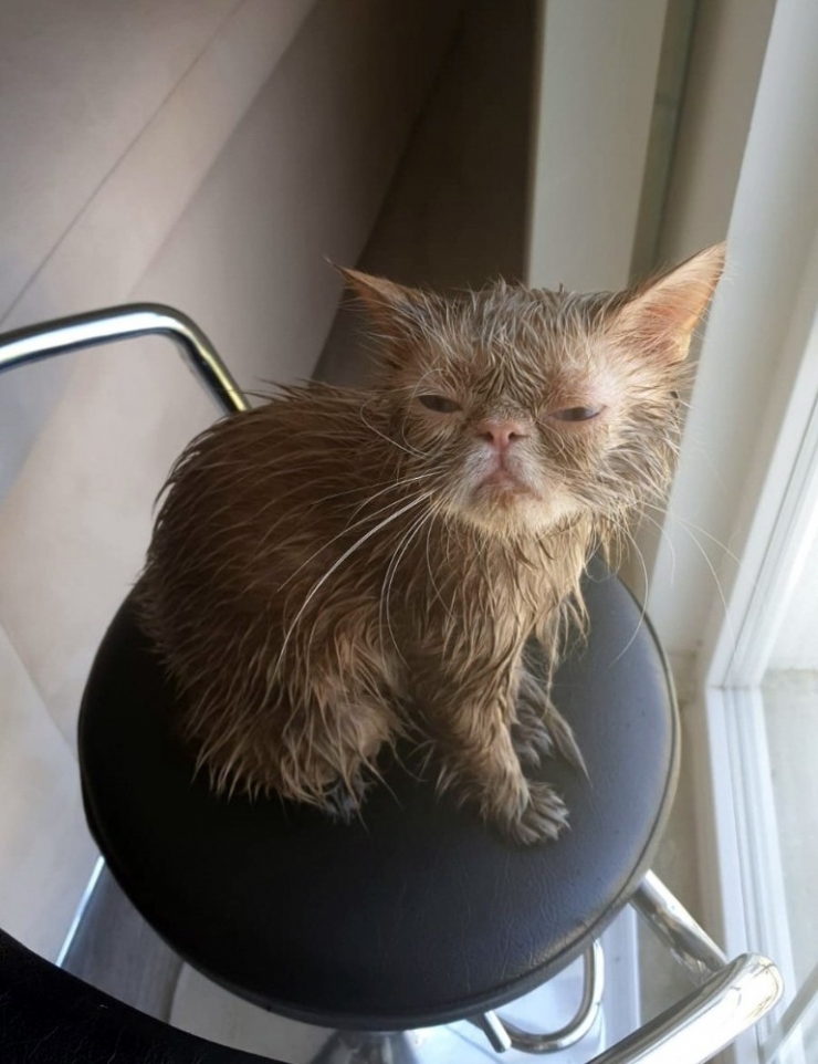 Türkiye’nin Gündemine Oturan Genç Konuştu: "Her İnsanın Yapması Gereken Hareket"