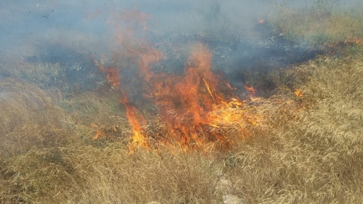 Burhaniye’de Yazlık Sitedeki Ot Yangını Korkuttu