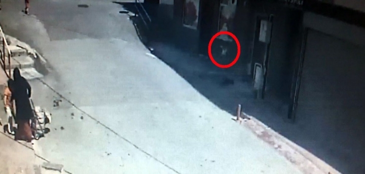 2. Kattan Düşen Çocuğu Çamaşır İpi Kurtardı