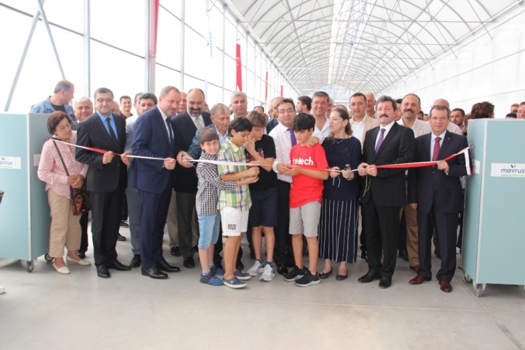 Türkiye’nin Fabrika Baca Atığı İle Isıtılan İlk Modern Serası Hizmete Açıldı