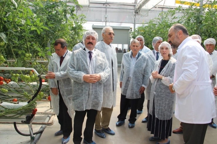 Türkiye’nin Fabrika Baca Atığı İle Isıtılan İlk Modern Serası Hizmete Açıldı