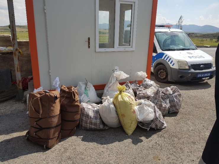 Kaçak Salep Toplayıcılarına Büyük Ceza