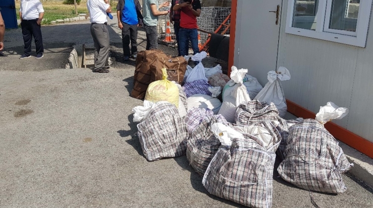 Kaçak Salep Toplayıcılarına Büyük Ceza