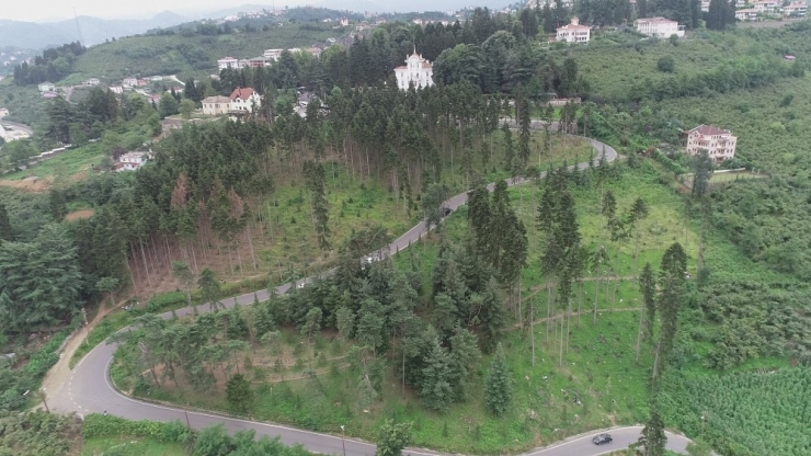 Eski Görünümüne Kavuşuyor