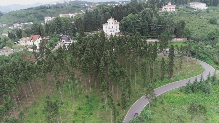 Eski Görünümüne Kavuşuyor