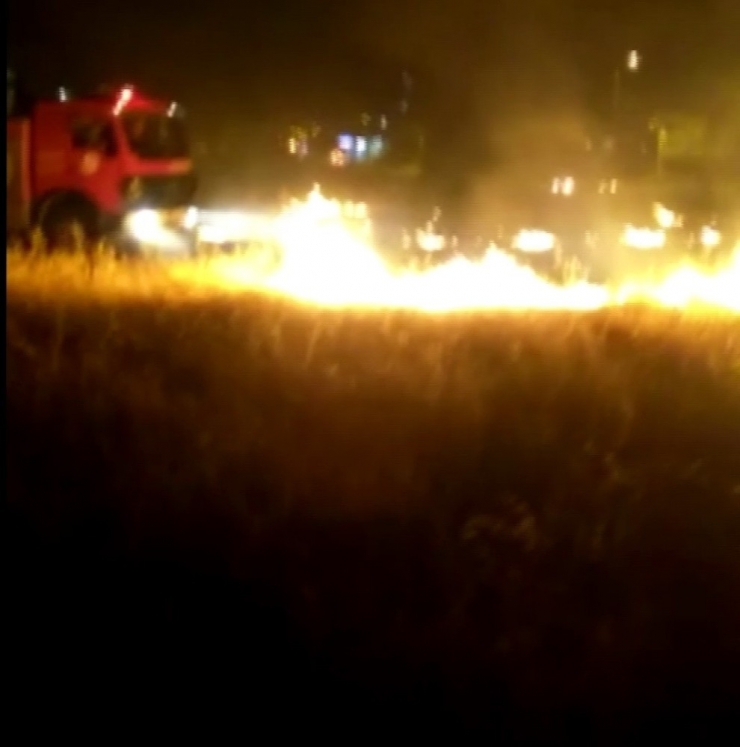 Alevler Arasında Kalan Köpeği İtfaiye Ekipleri Kurtardı