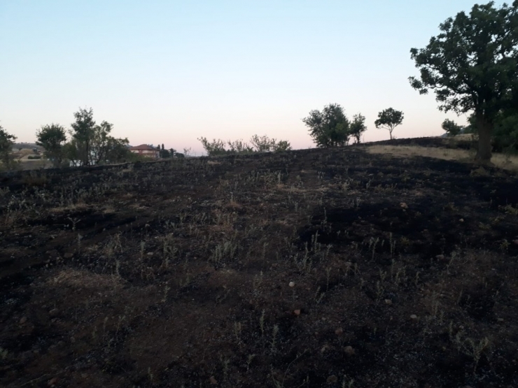 Mangal Ateşi Otluk Alanda Yangına Neden Oldu