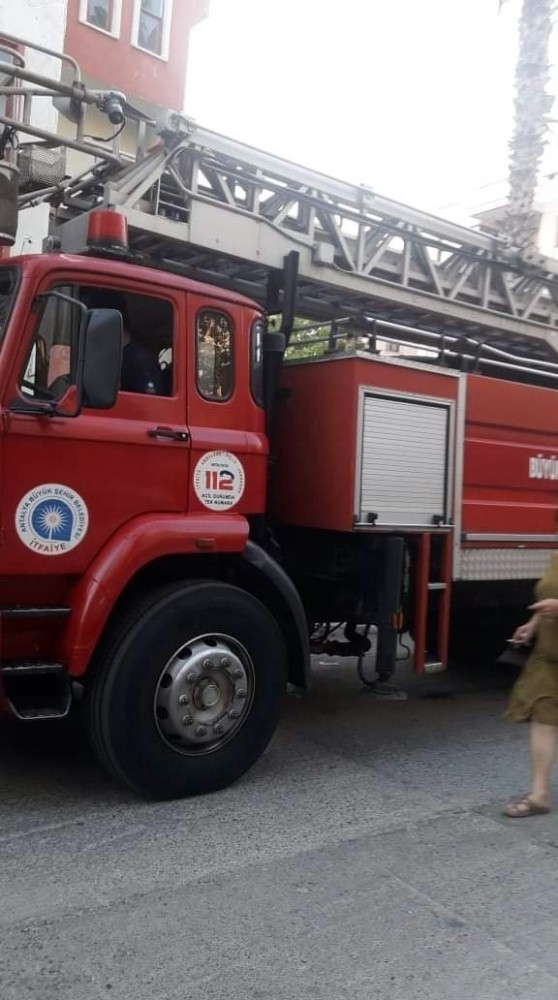 Alanya’da Köpekten Kaçarken Ağaçta Mahsur Kalan Kedi Kurtarıldı