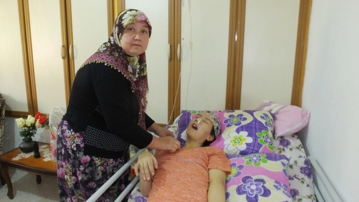 22 Yaşındaki Elif Karaciğer Nakli Olamazsa Ölecek