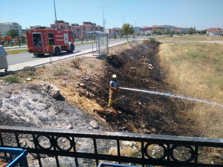 Alev Alan Otlar Yürekleri Ağza Getirdi