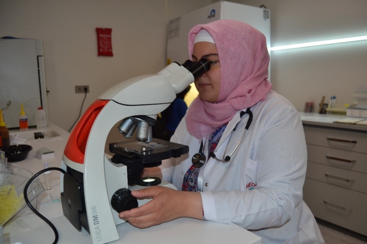 Merdiven Altı Yerlerde Yapılan Tıbbi İşlemlerde Hepatit B Tehlikesi