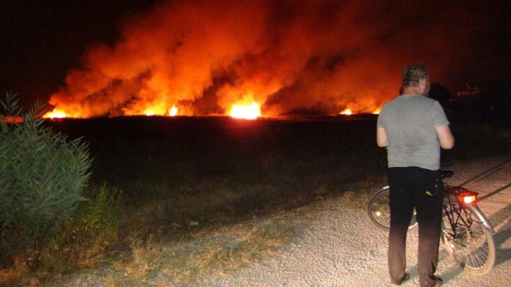 Göksu Deltası’nda Çıkan Yangın Evleri Teğet Geçti