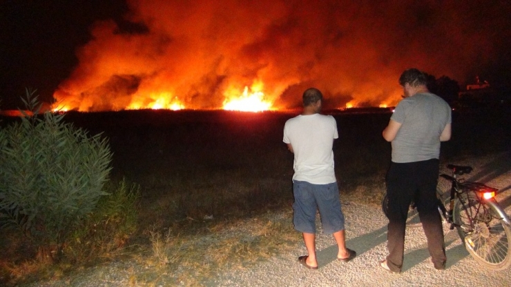 Göksu Deltası’nda Çıkan Yangın Evleri Teğet Geçti