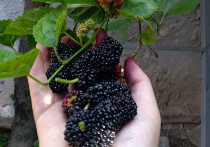 30 Yıldır Üretip Satıyor