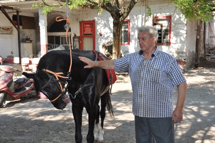 At Sevgisini Hukuk Fakültesine Tercih Eden 62 Yıllık Nalbant Ustası