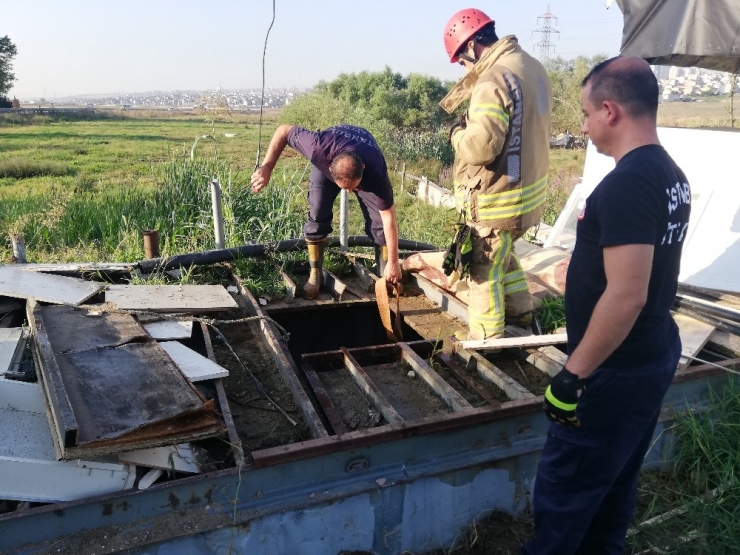 Avcılar’da Su Kuyusundan Kurbanlık Dana Kurtarma Operasyonu