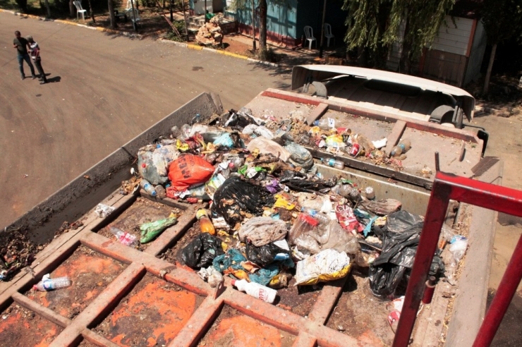 Belediyeye Ait Barınakta Kısırlaştırılmak İstenen Köpeklerin Öldürüldüğü İddiası