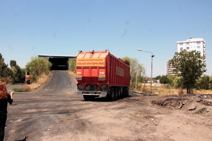 Belediyeye Ait Barınakta Kısırlaştırılmak İstenen Köpeklerin Öldürüldüğü İddiası
