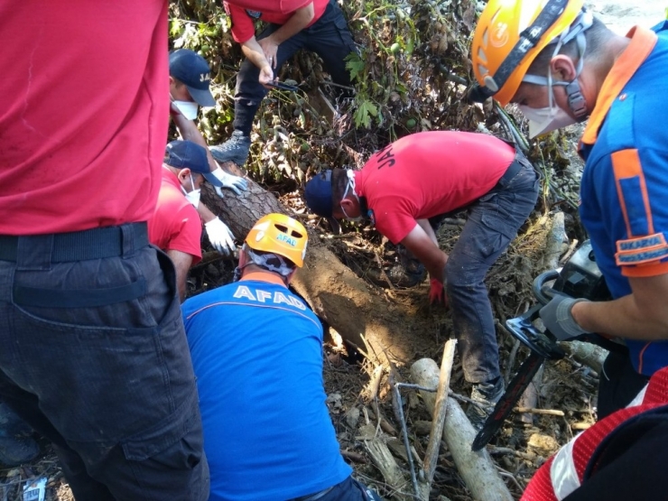 Düzce’de Selde Kaybolan 3 Yaşındaki Çocuk Bulundu