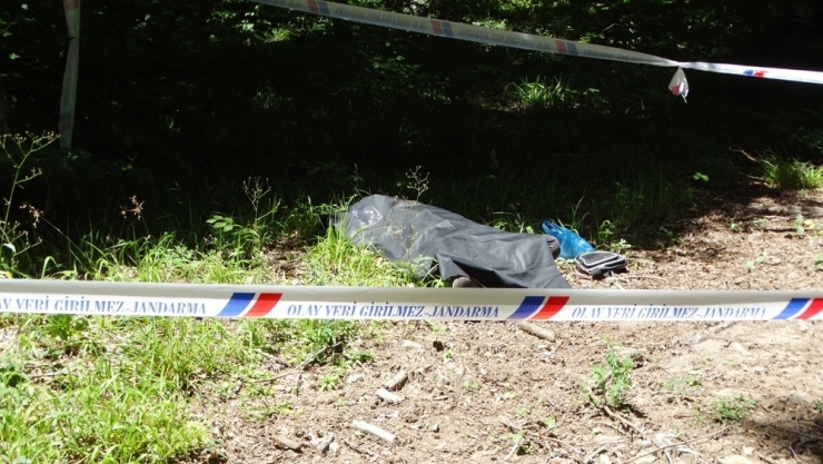 Ormanda Ceset Bulundu