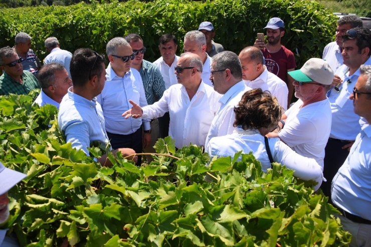 Manisa’da Biyoteknik Mücadele İle Sağlıklı Ve Kaliteli Ürün