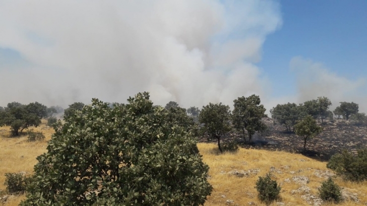 Mardin’deki Yangın 24 Saat Sonra Söndürüldü