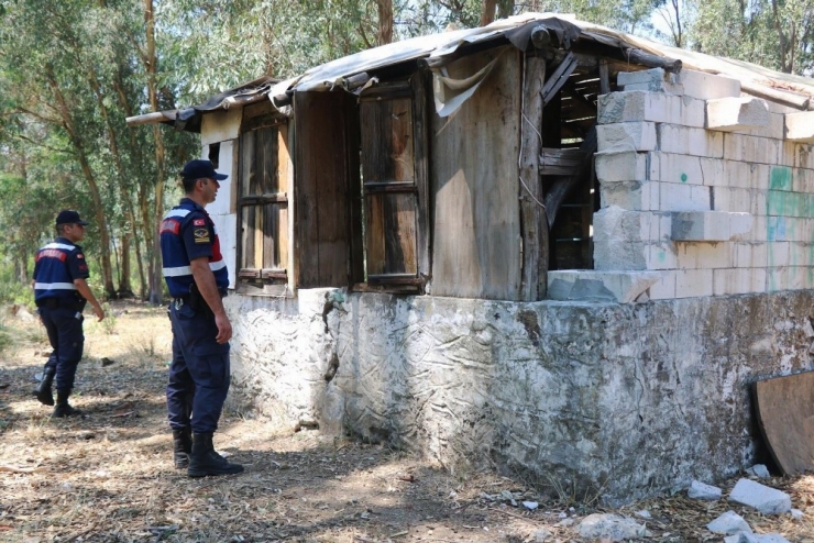 400 Ev, 119 Metruk Bina Ve 645 İşyeri Denetlendi