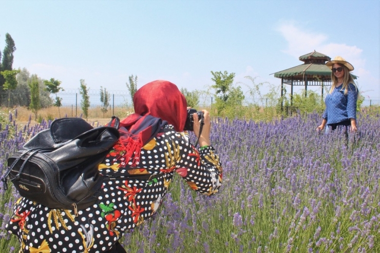 Van Yyü’den Çiftçilere Alternatif Bitki