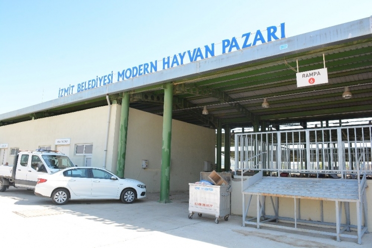 Kurbanlıklar, İzmit Modern Hayvan Pazarına İndi
