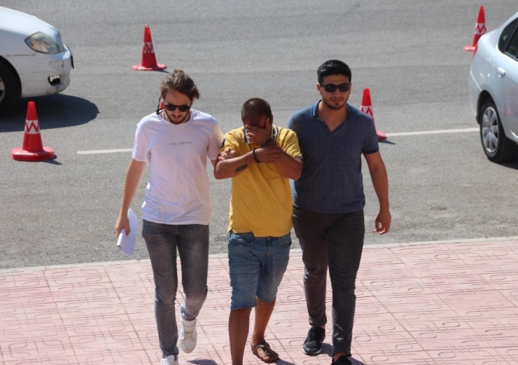 Narkotik Köpeği ‘Molly’den Kaçamadılar