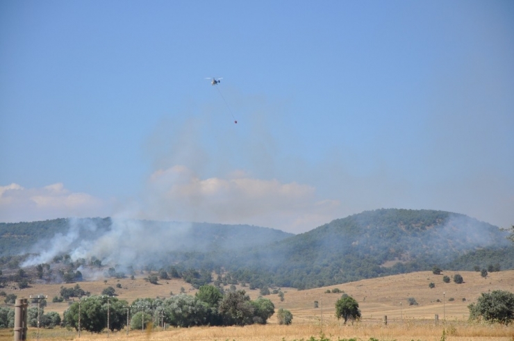 Sandıklı’daki Yangında 5 Hektar Ormanlık Alan Kül Oldu