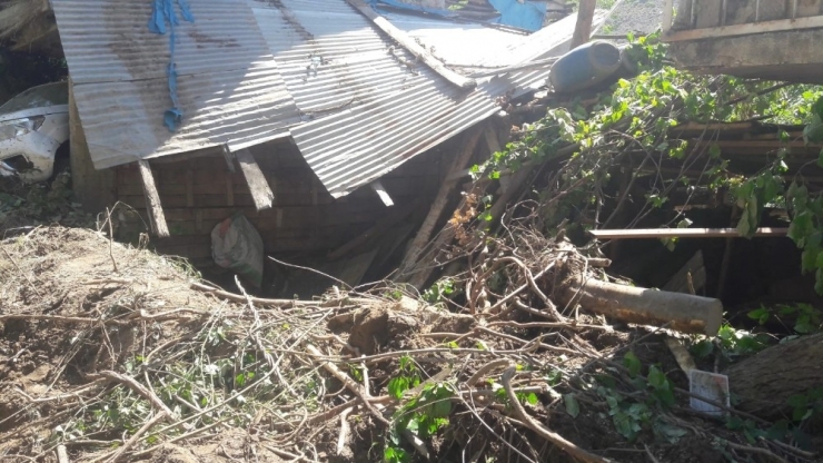 Artvin’de Toprak Kaymasında 20 Hayvan Toprak Altında Kaldı