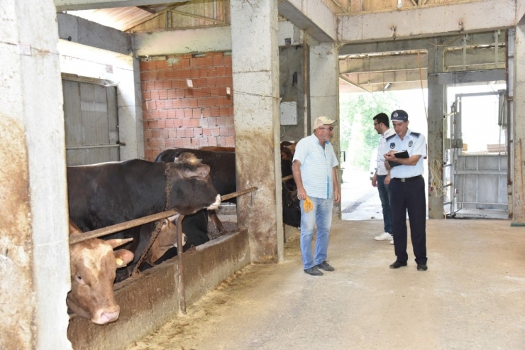 Kartepe Belediyesi’nden Kurban Satış Ve Kesim Yerlerine Denetim